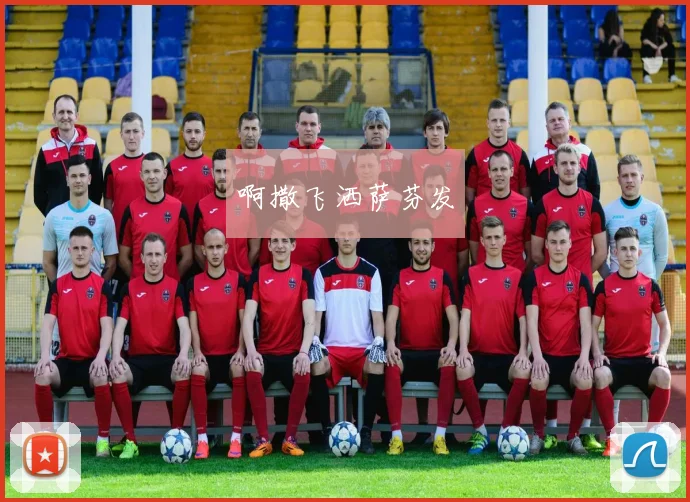2018世界杯卫冕冠军是谁 解析赛前焦点与球队背景