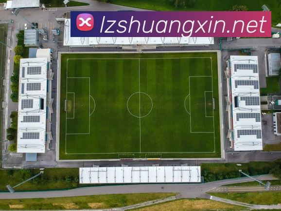球赛押注app官网服务体系